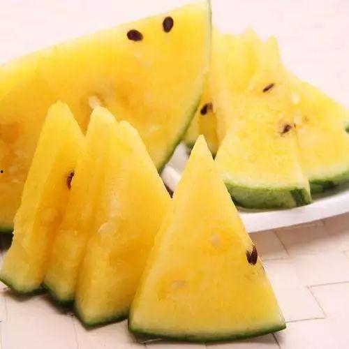 网红有什么瓜吃的好吃,揭秘那些让人垂涎欲滴的“瓜中珍品” 第3张 网红有什么瓜吃的好吃,揭秘那些让人垂涎欲滴的“瓜中珍品” 第3张